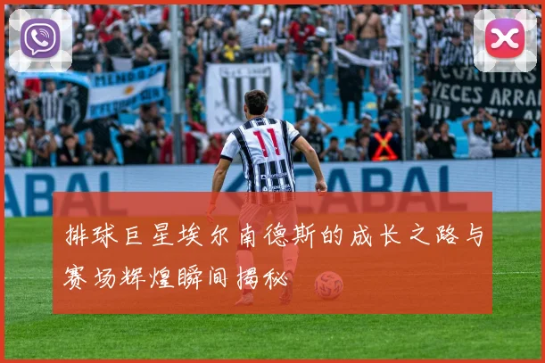 排球巨星埃尔南德斯的成长之路与赛场辉煌瞬间揭秘