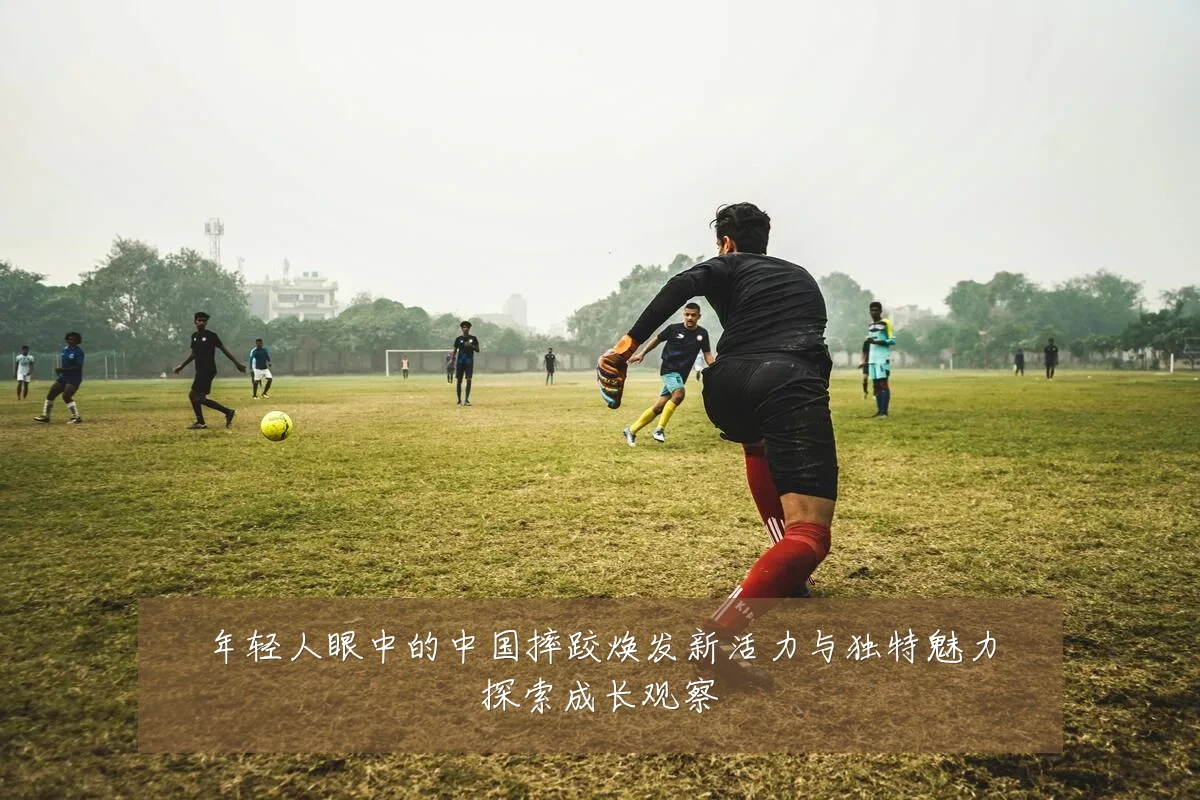 年轻人眼中的中国摔跤焕发新活力与独特魅力探索成长观察